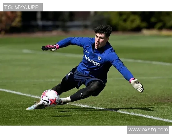 切尔西宣布签下新援，球队实力再添一员